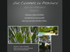 Une Chambre en Provence